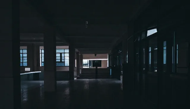 物业管理中的消杀服务:如何选择与维护